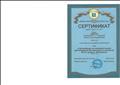 Сертификат участника конференции "Организация исследовательской деятельности обучающихся в контексте ФГОС второго поколения" 2017год